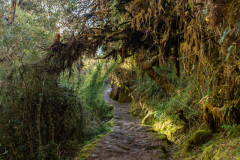 DSC02513-HDR