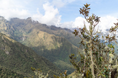 DSC02634-HDR