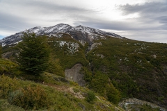 DSC00614