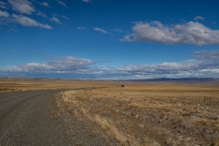 DSC01968