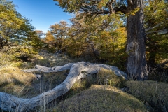 DSC02478-HDR