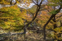 lagunatorres-005