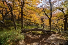lagunatorres-006