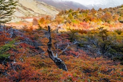 lagunatorres-012