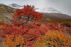 lagunatorres-017