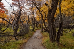 lagunatorres-024