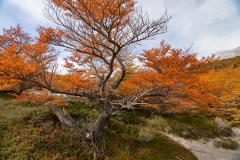 lagunatorres-034