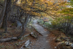 lagunatorres-036