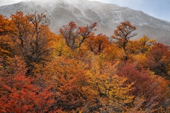 lagunatorres-038