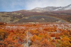 lagunatorres-039