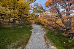 lagunatorres-042