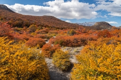 lagunatorres-043