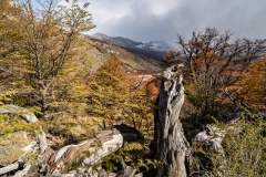 lagunatorres-044
