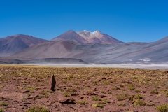 piedrasrojas-20