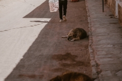 atacama-street-06