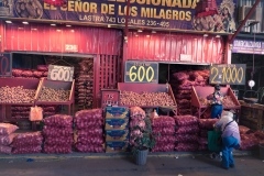 santiago-26