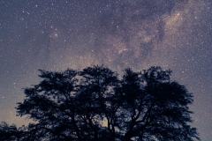 stargazing-09