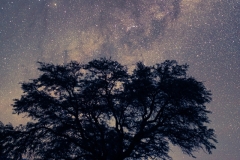 stargazing-12