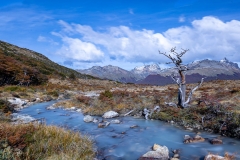 DSC00410-HDR