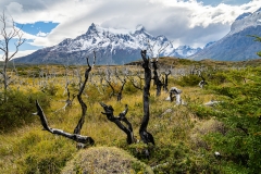 DSC01457-HDR