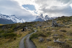 DSC01542-HDR