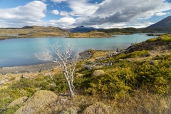 DSC01563-HDR