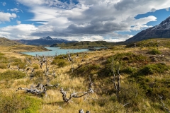 DSC01571-HDR