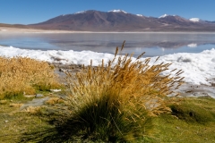 uyuni-09
