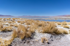 uyuni-32