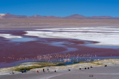 uyuni-43