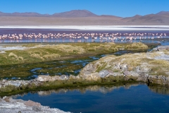 uyuni-45