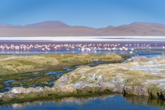 uyuni-49
