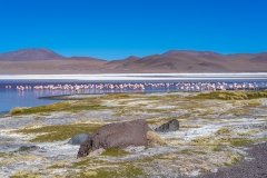 uyuni-53