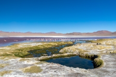 uyuni-54