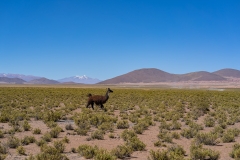 uyuni2-18