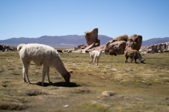 uyuni2-31