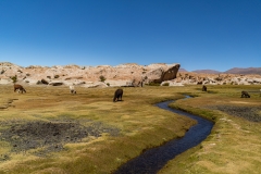 uyuni2-34
