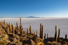 uyuni3-27