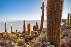 uyuni3-28