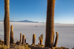 uyuni3-29