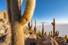 uyuni3-30