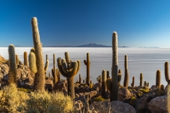 uyuni3-32